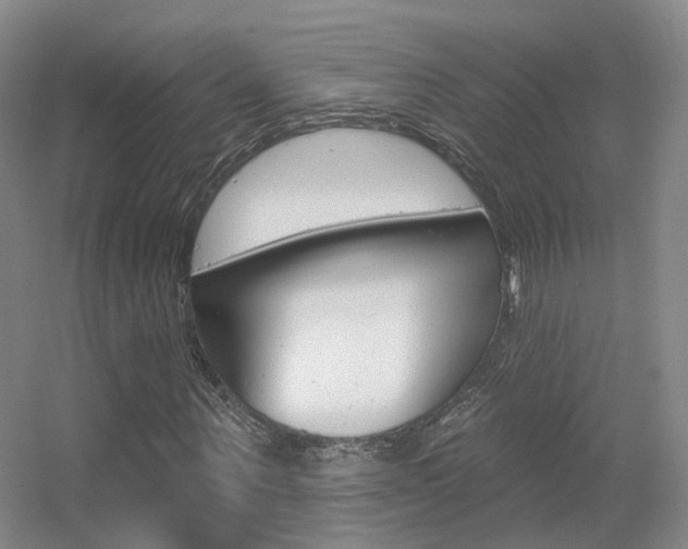 X0000055520867200508120819