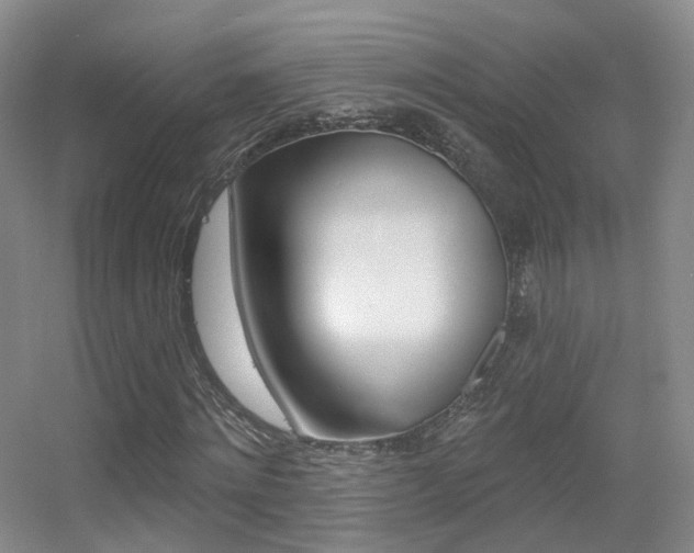 X0000055520868200508120819