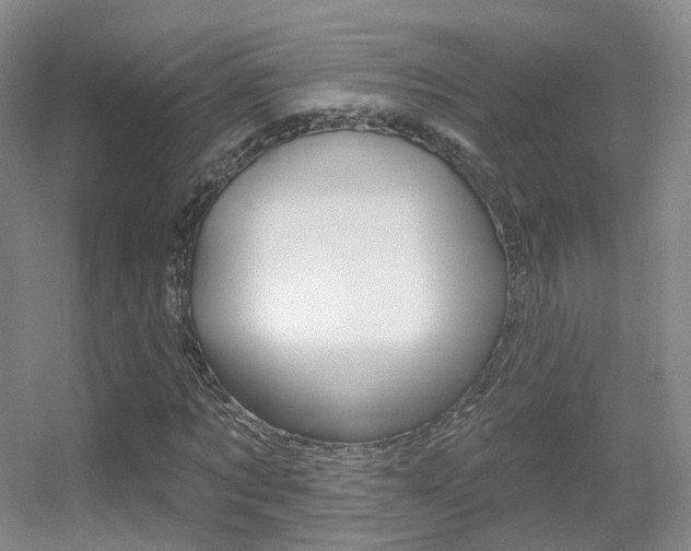 X0000055520869200508120819