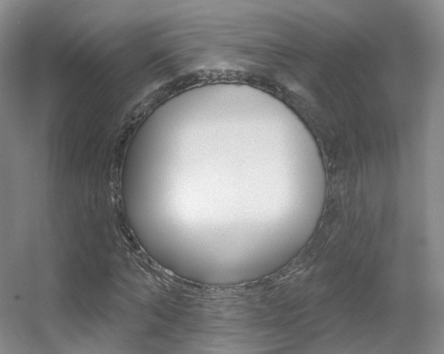 X0000055520870200508120819