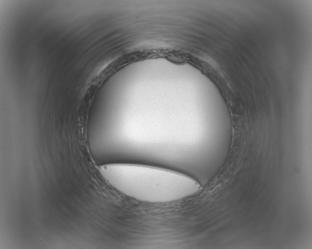 X0000055520871200508120819