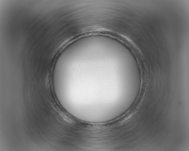 X0000055520873200508120819