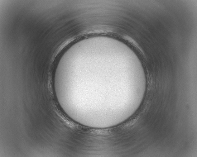 X0000055520874200508120819