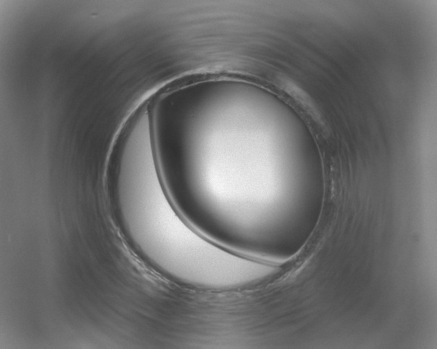 X0000055520876200508120819