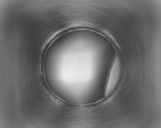 X0000055520877200508120819
