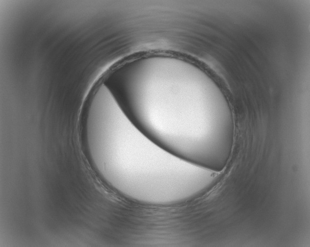 X0000055520879200508120819