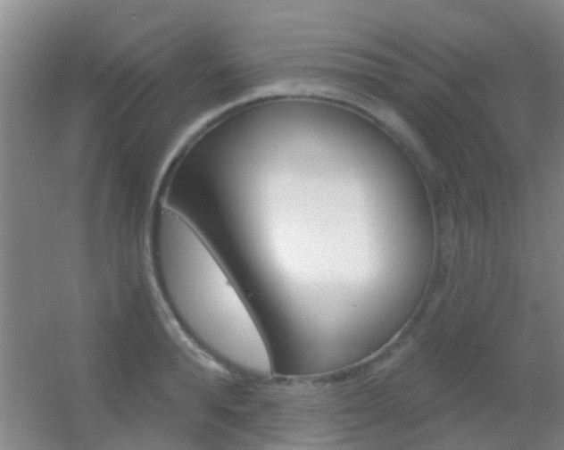 X0000055520896200508120819