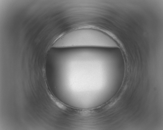 X0000055520897200508120819