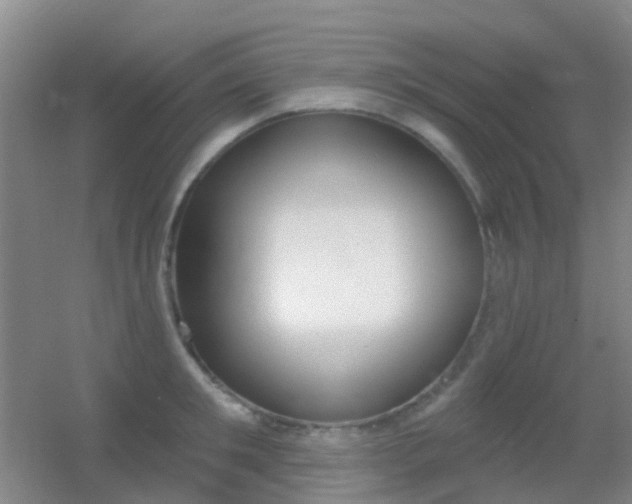 X0000055520901200508120818