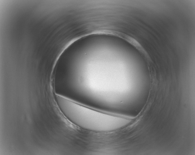 X0000055520908200508120818