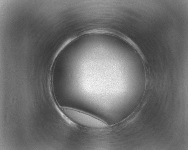 X0000055520909200508120818
