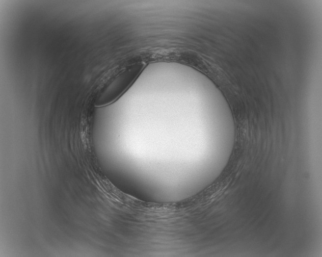 X0000055520914200508120817