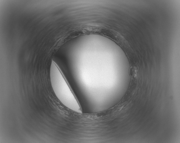 X0000055520915200508120818