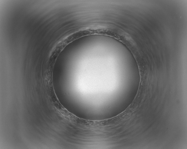 X0000055520920200508120818