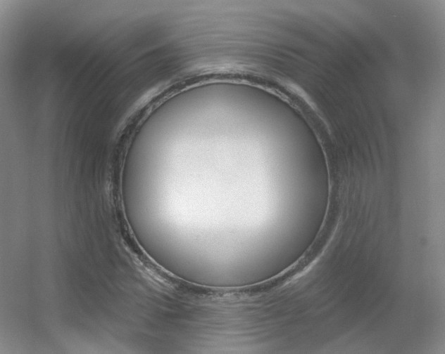 X0000055520922200508120818