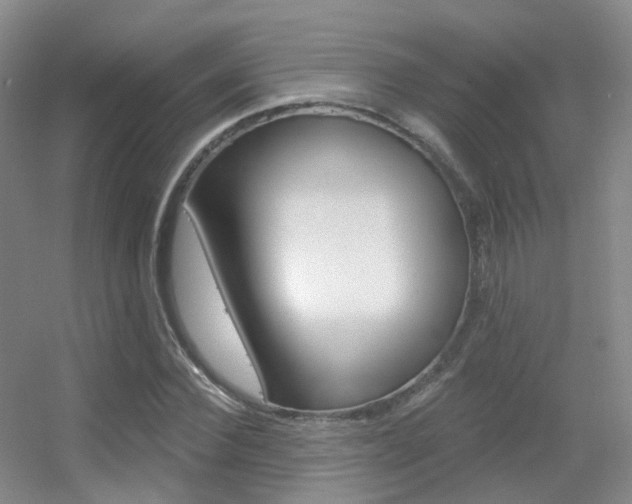 X0000055520924200508120818