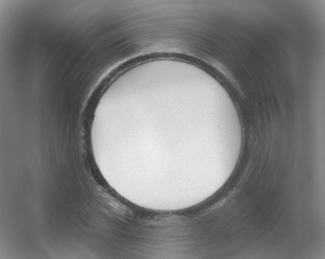 X0000055520926200508120818