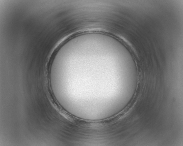 X0000055520933200508120818