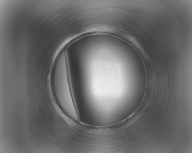 X0000055520936200508120818