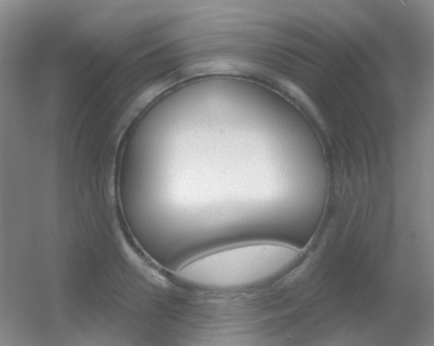 X0000055520938200508120818