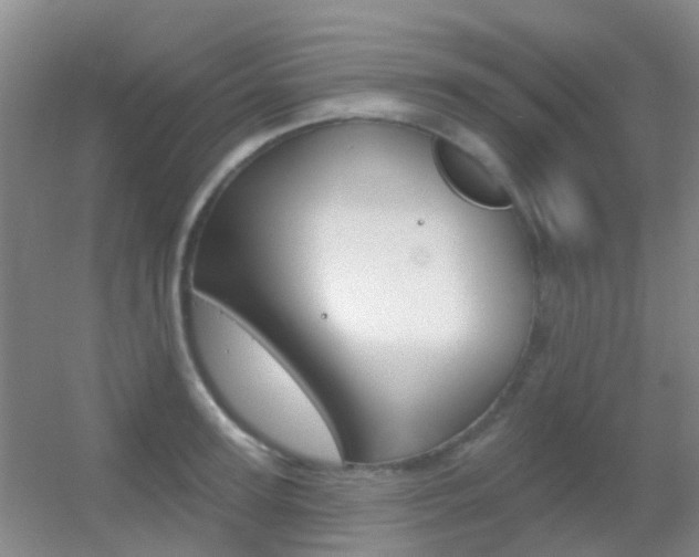 X0000055520947200508120818