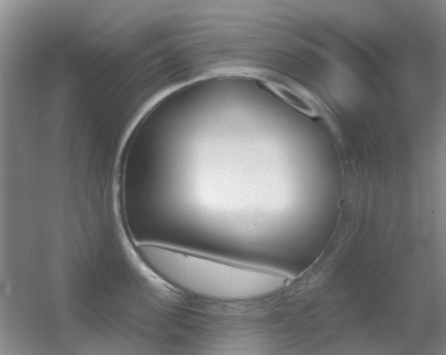 X0000055520955200508120818