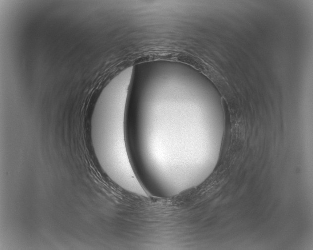 X0000055520961200508120817