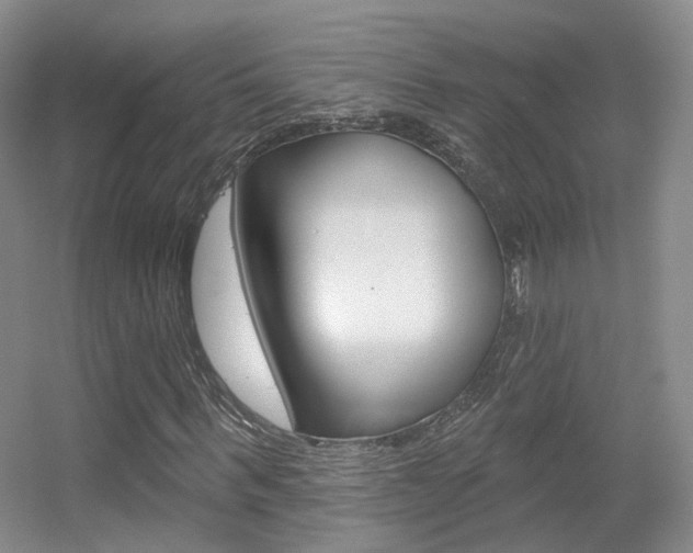 X0000055520963200508120817