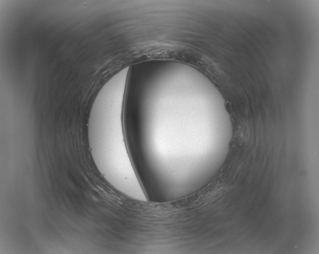 X0000055520964200508120817