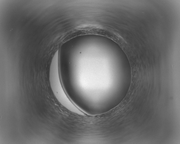 X0000055520965200508120817