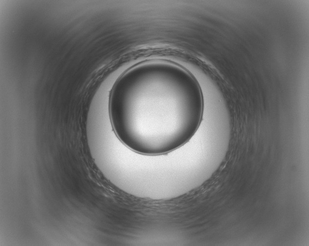 X0000055520967200508120817