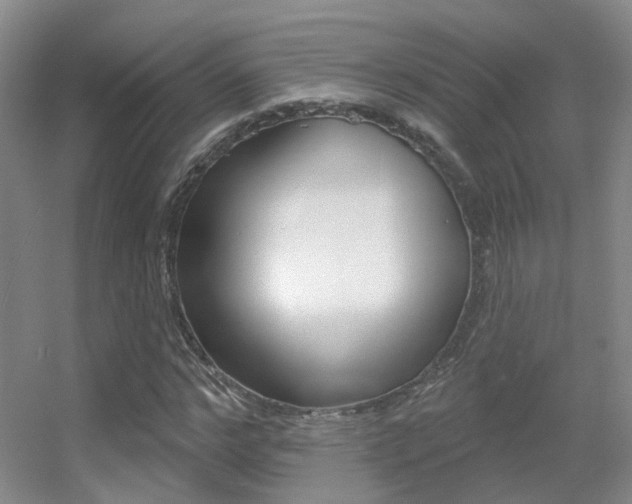 X0000055520968200508120817