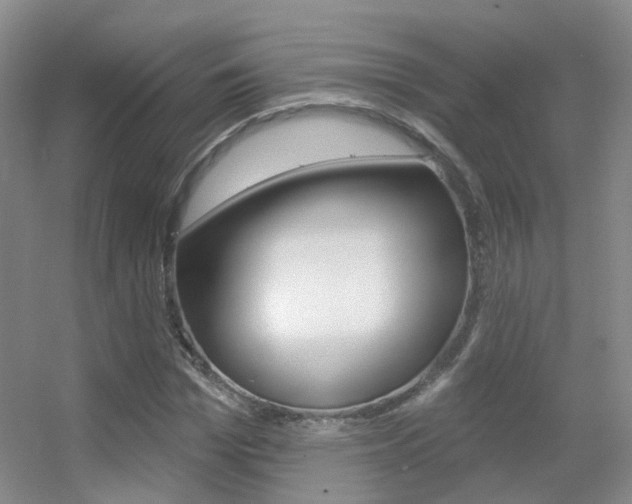 X0000055520969200508120817