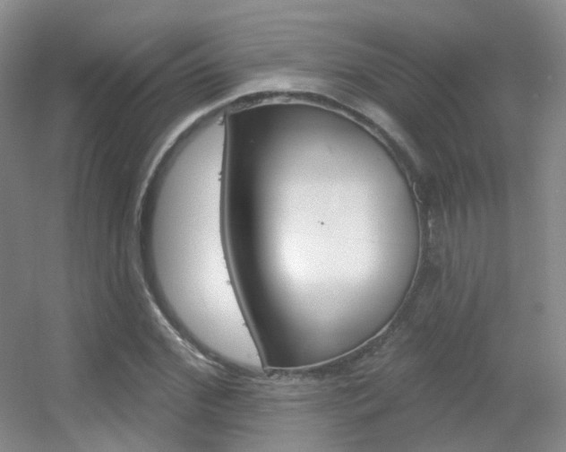 X0000055520972200508120817