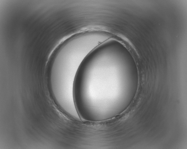 X0000055520973200508120817