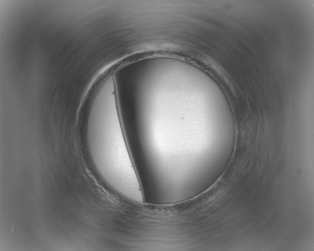 X0000055520975200508120817