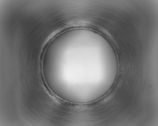 X0000055520978200508120817
