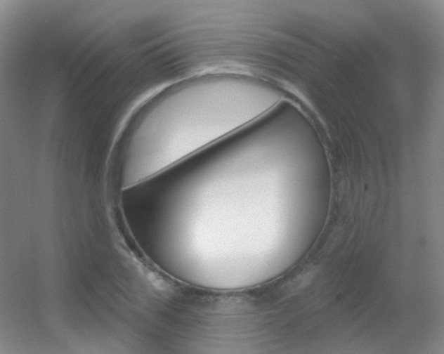 X0000055520979200508120817