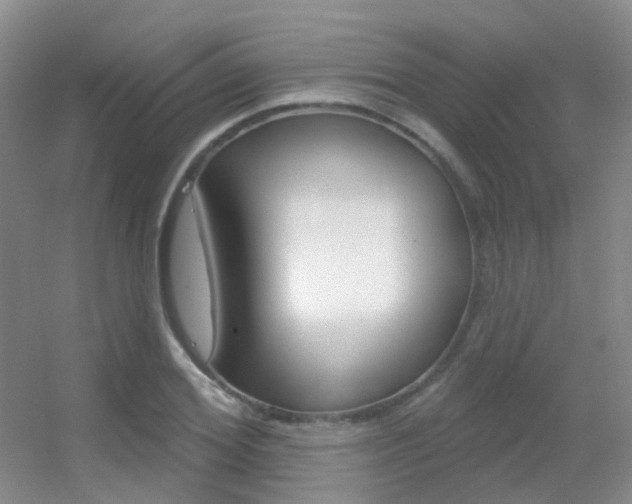 X0000055520980200508120817