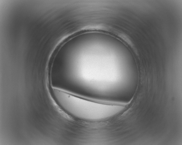 X0000055520984200508120817