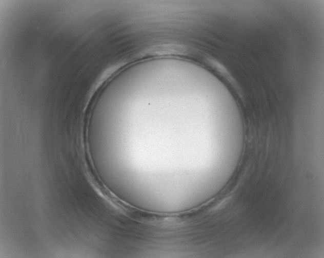 X0000055520986200508120817