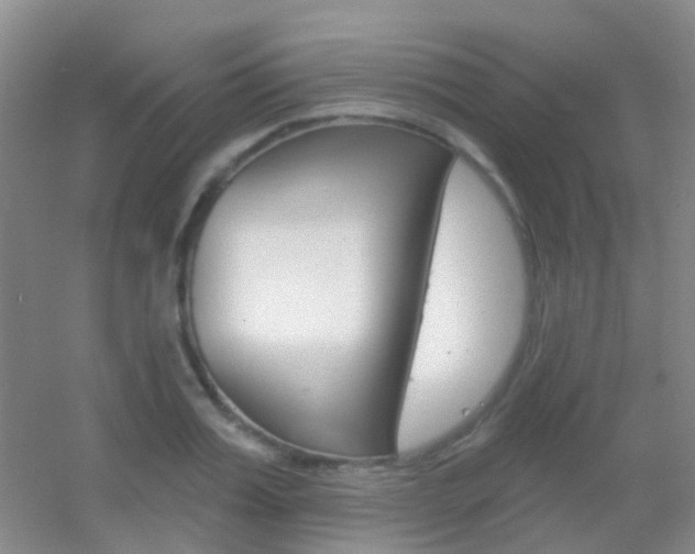 X0000055520987200508120817