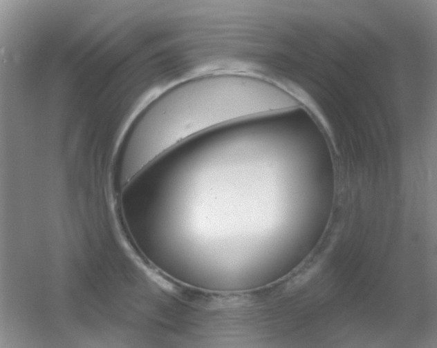 X0000055520997200508120817