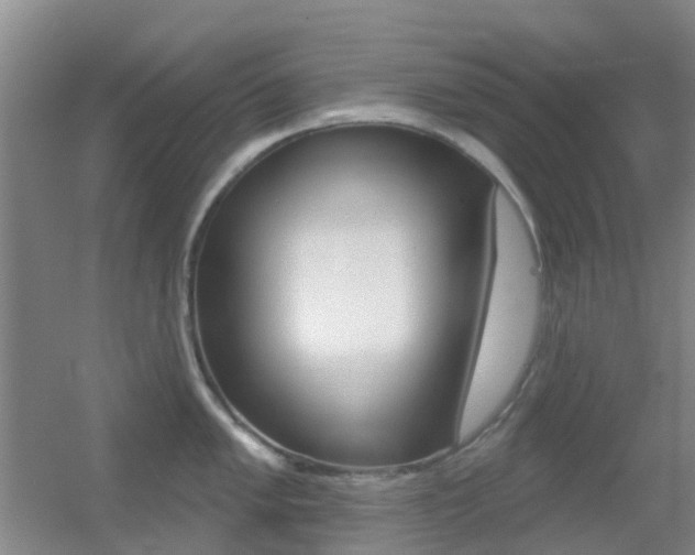 X0000055521005200508120817