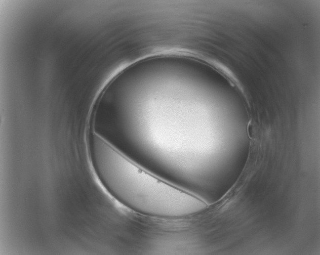 X0000055521007200508120817