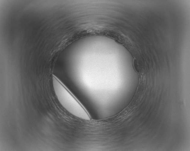 X0000055521012200508120816