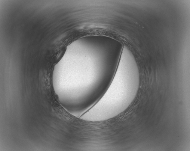 X0000055521013200508120816
