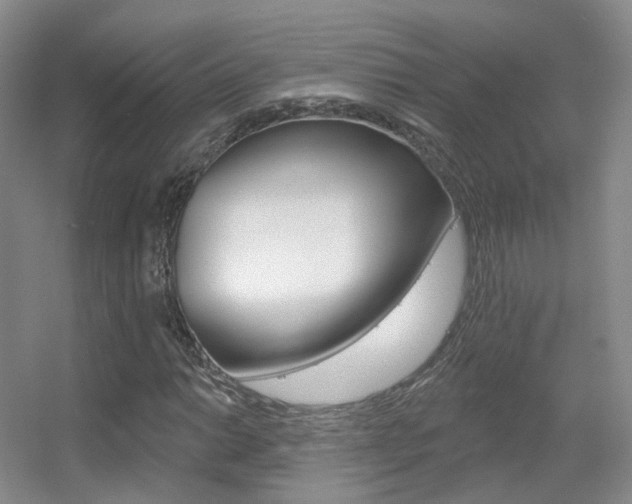 X0000055521014200508120816