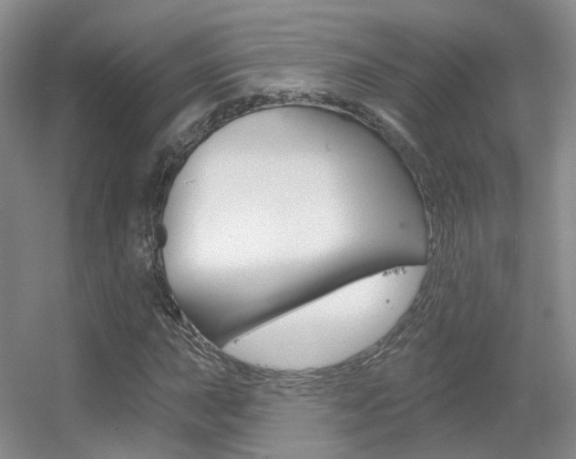 X0000055521015200508120816