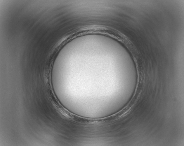 X0000055521017200508120816
